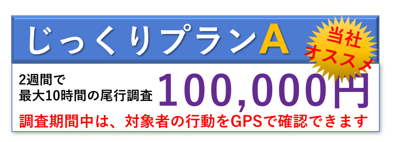 じっくり浮気調査プラン