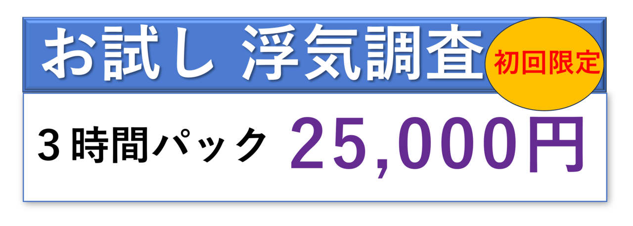 お試し浮気調査